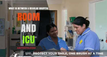 Bridging the Gap: Understanding Intermediate Care Units in Hospitals