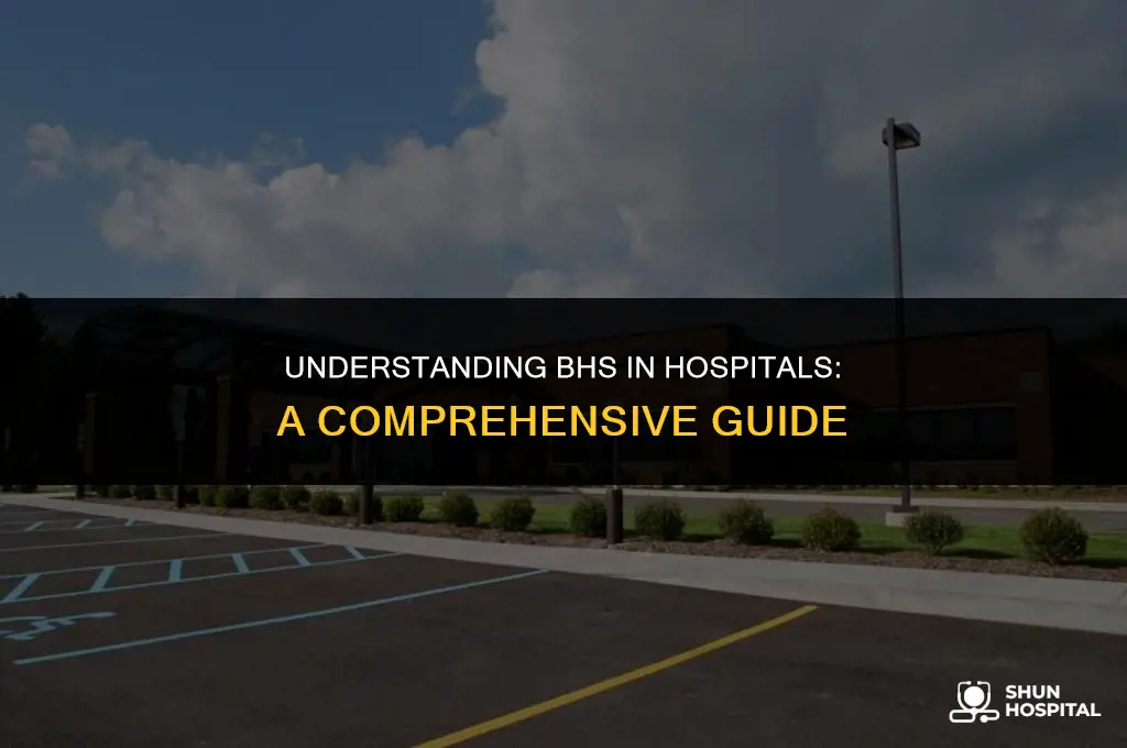 what is bhs in hospitals