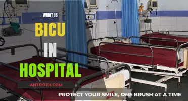 Understanding BICU: A Comprehensive Guide to Hospital Intensive Care Units