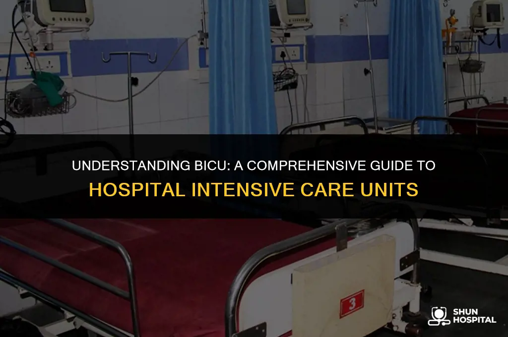 what is bicu in hospital
