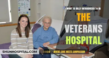 Billy's Awakening: Discovering New Realities in the Veterans Hospital