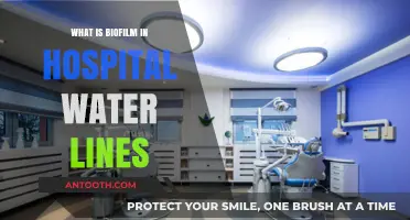 Biofilm in Hospital Water Lines: Understanding the Risk