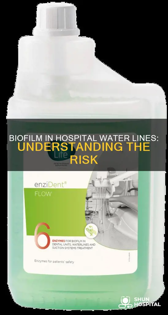 what is biofilm in hospital water lines
