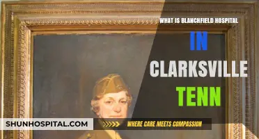 Clarksville's Blanchfield Army Community Hospital: Serving Military Personnel and Families