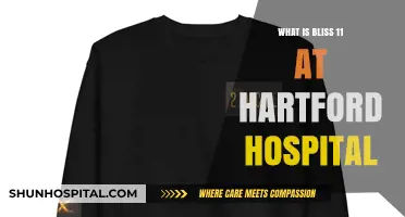 Hartford Hospital's BLISS 11: An Innovative Patient Care Unit