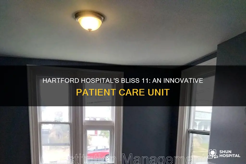 what is bliss 11 at hartford hospital
