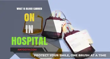 Hospital Blood Transport: Safe and Secure