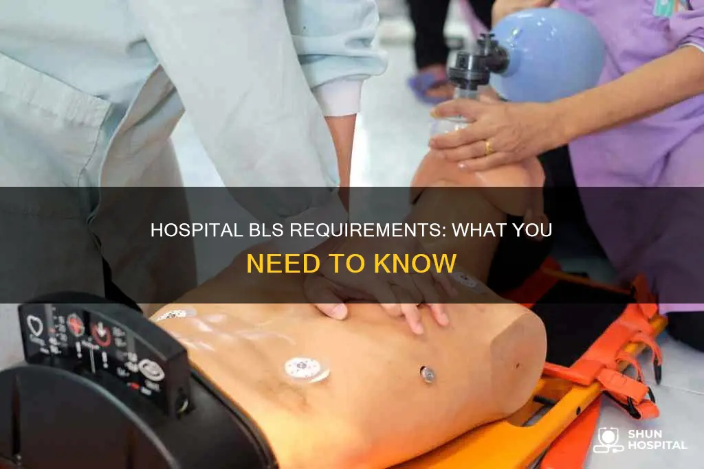 what is bls for hospital job application