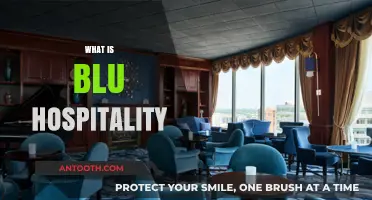 Exploring BLU Hospitality: A Journey into Modern Accommodation Excellence