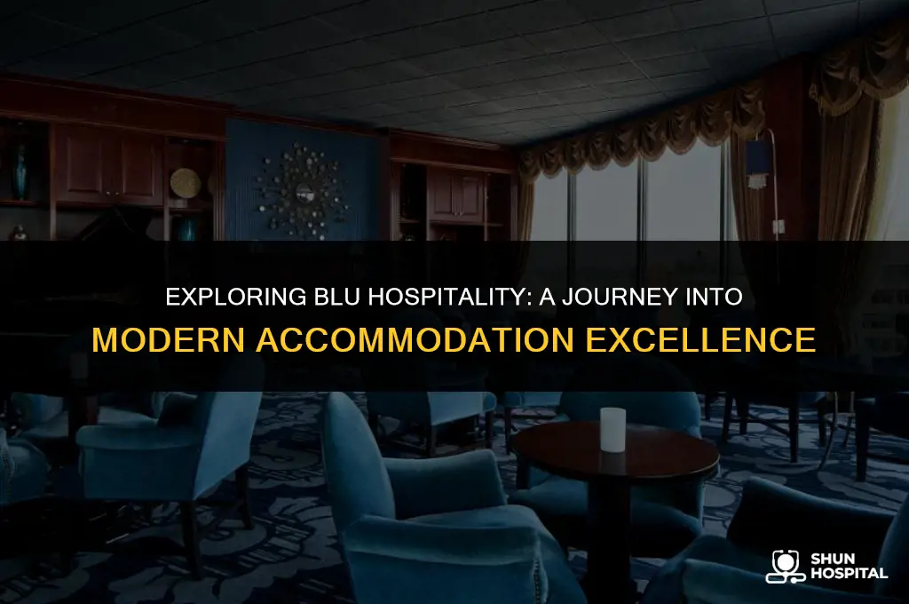 what is blu hospitality