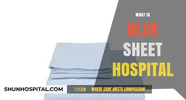 Unveiling the Mystery: What Is a Blue Sheet Hospital?