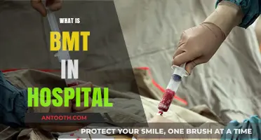 Understanding BMT: A Lifesaving Procedure in Hospitals