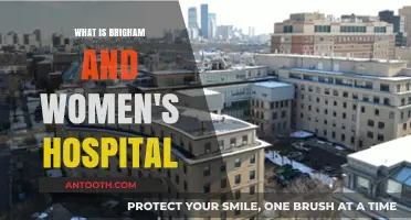 Brigham and Women's Hospital: A Leading Boston Healthcare Provider