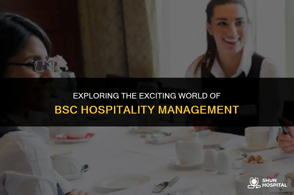 what is bsc hospitality management