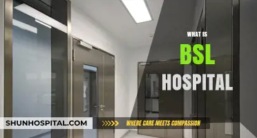 Understanding BSL Hospitals: A Comprehensive Guide to Biosafety Levels
