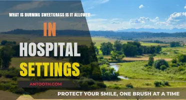 Burning Sweetgrass in Hospitals: Cultural Practice or Prohibited Ritual?