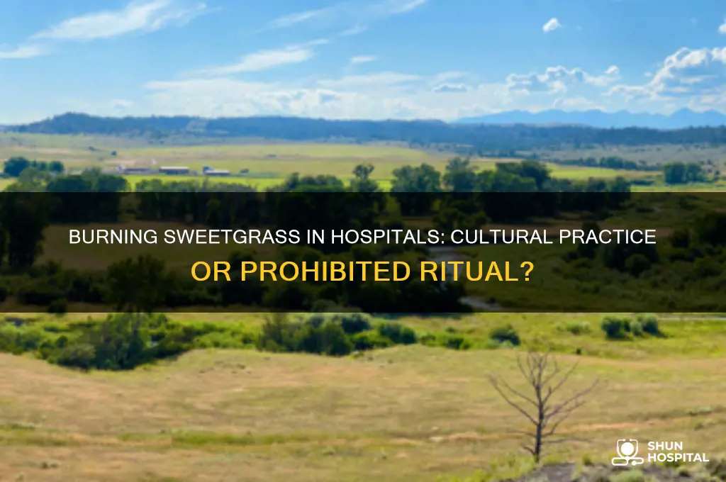 what is burning sweetgrass is it allowed in hospital settings