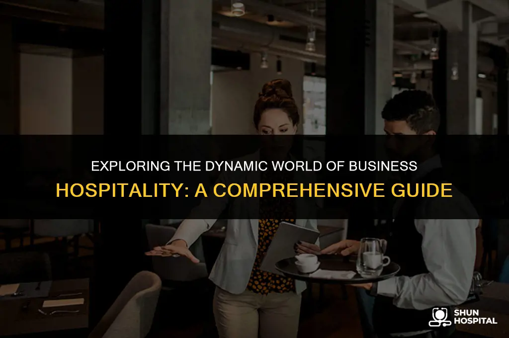 what is business hospitality industry
