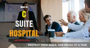 Exploring the C-Suite: A Deep Dive into Hospital Leadership Roles