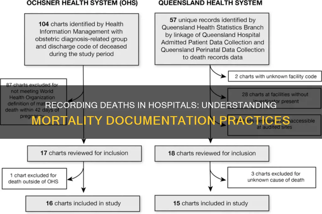 what is called to record the dead people in hospital