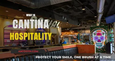Exploring Cantina Hospitality: A Guide to Vibrant Social Spaces