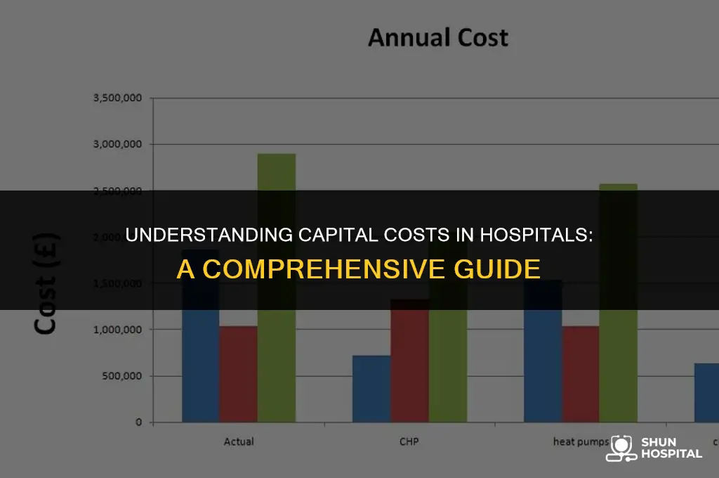 what is capital cost hospitals