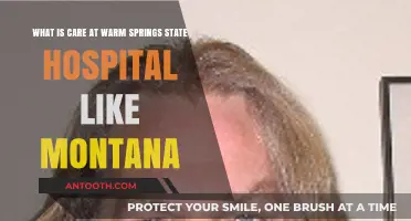 Warm Springs State Hospital: A Closer Look at Montana's Patient Care