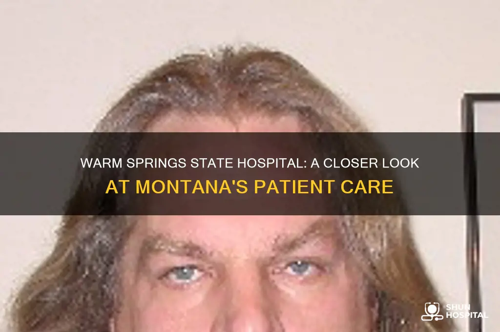 what is care at warm springs state hospital like montana