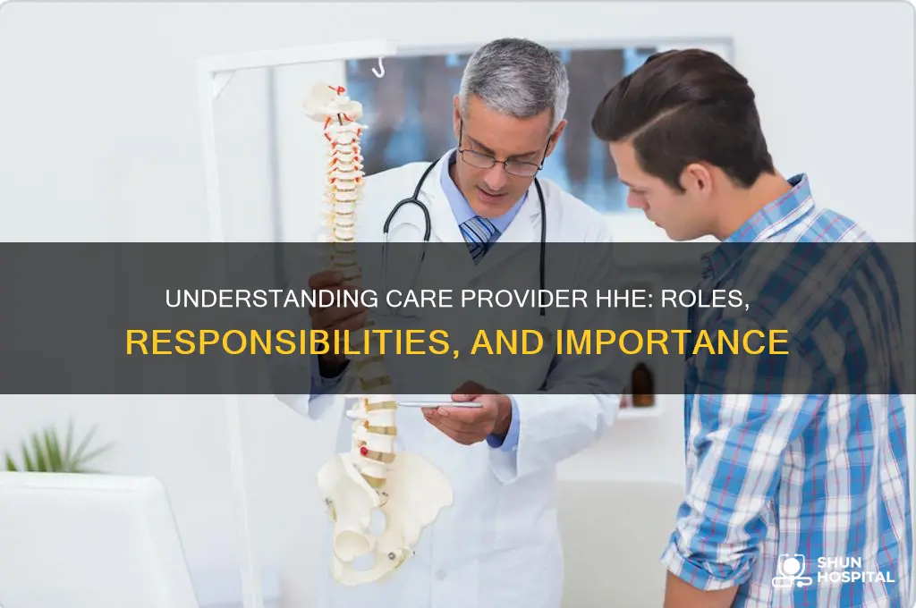 what is care provider hhe