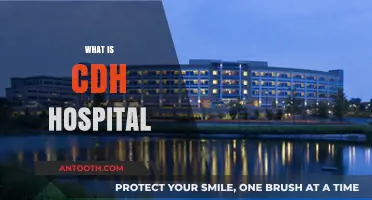 Understanding CDH Hospital: A Comprehensive Guide to Care and Services