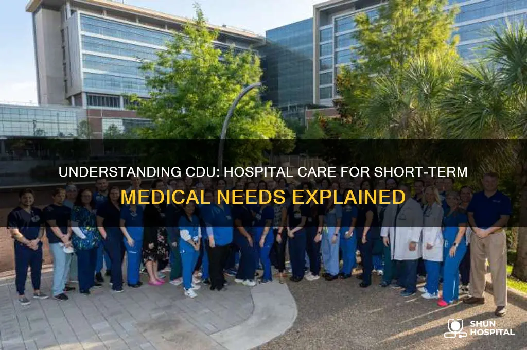 what is cdu in hospital
