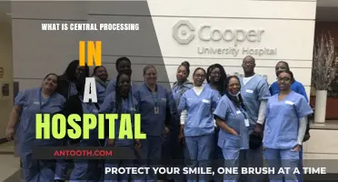 Hospital Central Processing: The Heart of Patient Care