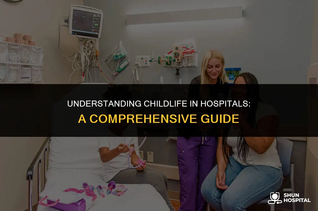 what is childlife in hospitals