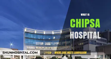 Exploring the Innovative Approach of CHIPSA Hospital in Healthcare