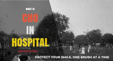 Understanding CHO in Hospitals: A Comprehensive Guide