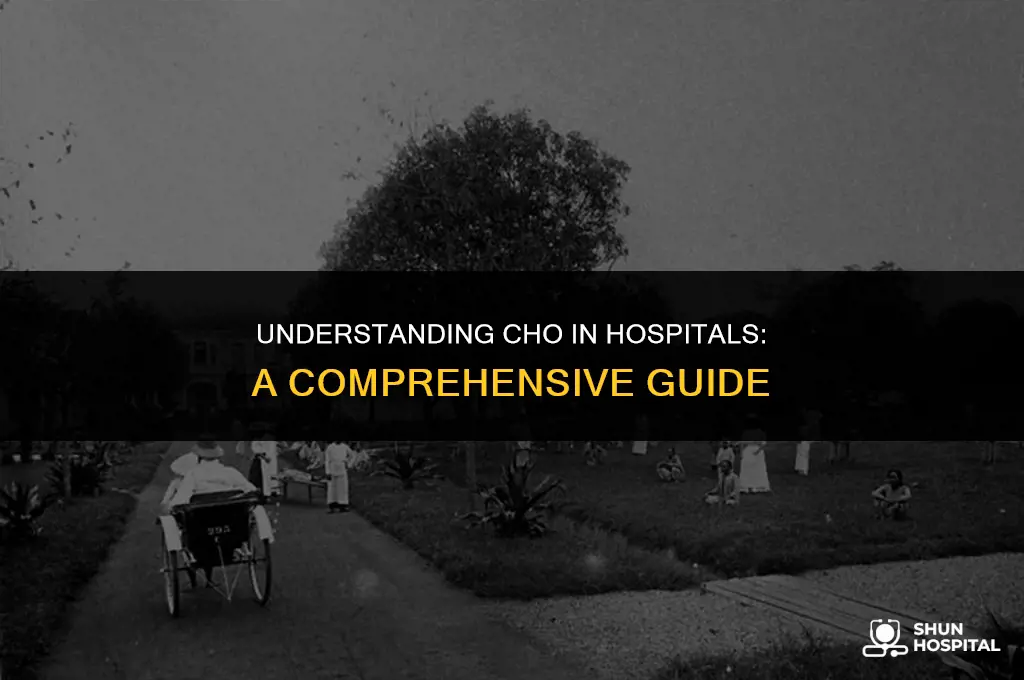 what is cho in hospital