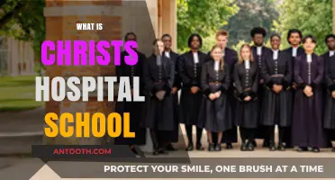 Exploring Christ's Hospital School: A Comprehensive Guide
