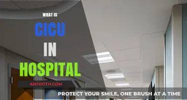 Understanding CICU: Critical Care for Heart Patients in Hospitals