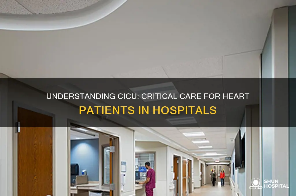 what is cicu in hospital