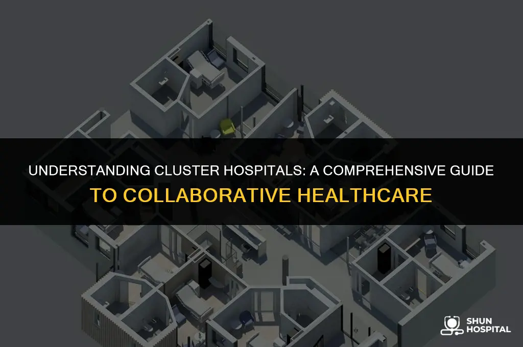 what is cluster hospital