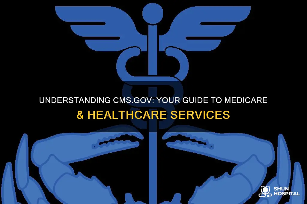 what is cms gov