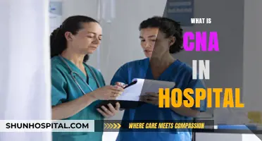 Understanding the Role of a CNA in Hospital Patient Care