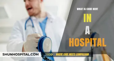 Code BERT: Revolutionizing Hospital Data Management