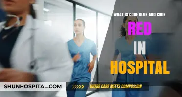 Understanding Code Blue and Code Red: Hospital Emergency Protocols Explained