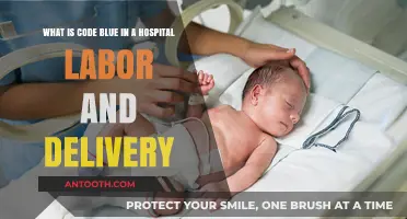 Understanding Code Blue in Hospital Labor and Delivery Units