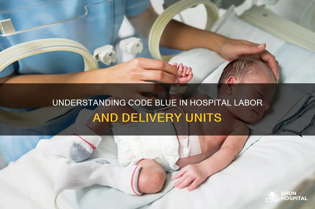 what is code blue in a hospital labor and delivery