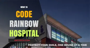 Exploring the Innovative Approach of Code Rainbow Hospital