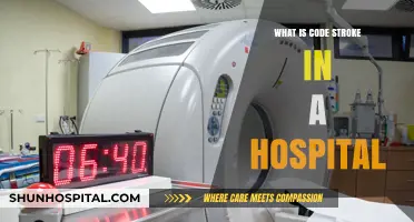 Code Stroke: Hospital Emergency Response Protocol