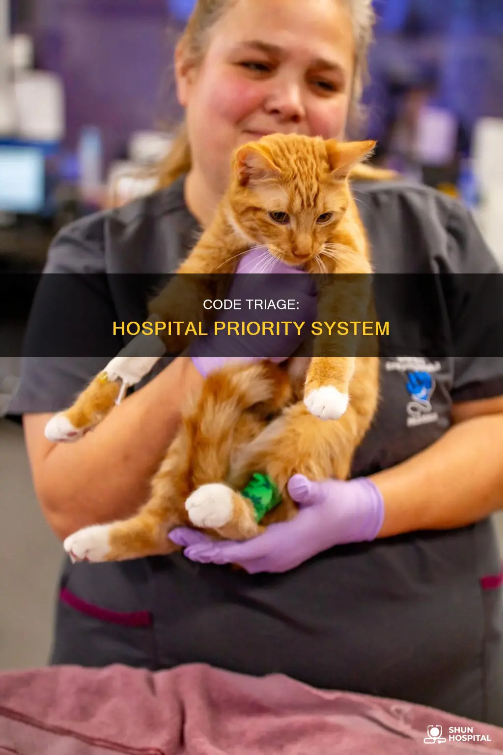 what is code triage in a hospital
