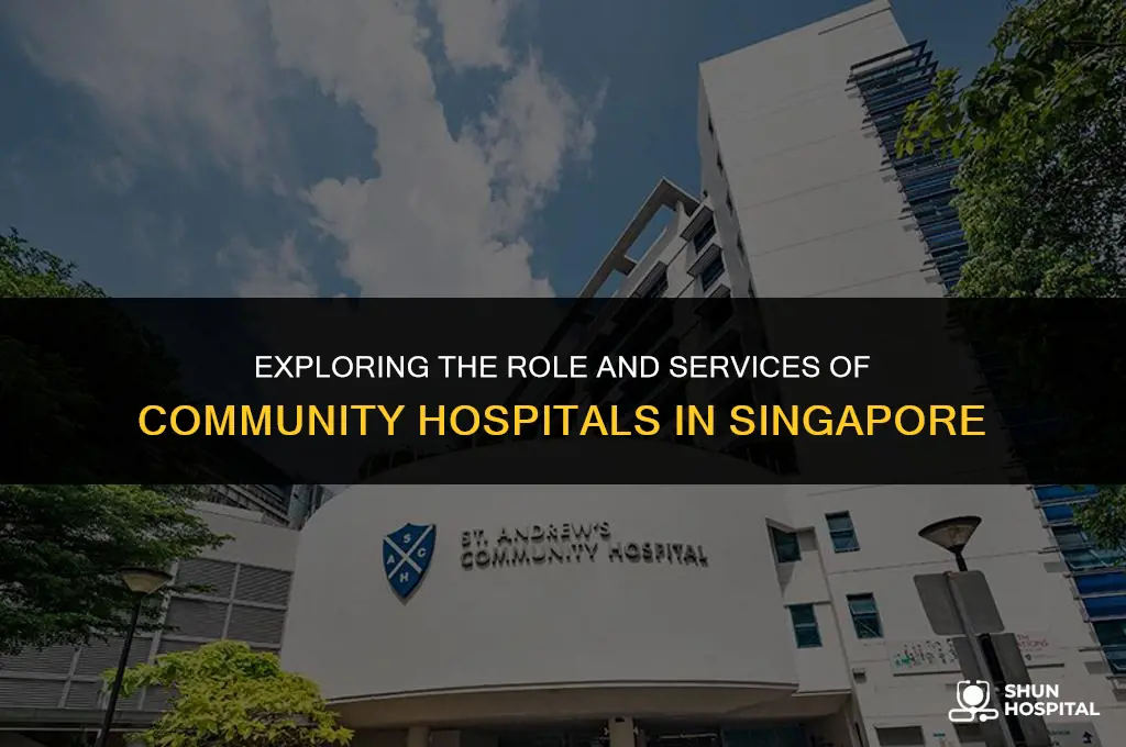 what is community hospital singapore